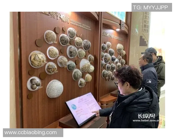 西安篮球队的转型之路:从传统到现代的深度解析与发展探讨