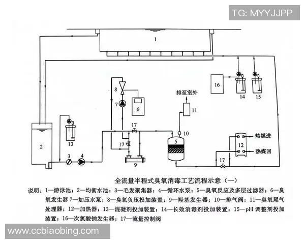 全面解析游泳配件的选择与使用技巧提升游泳效果和舒适度